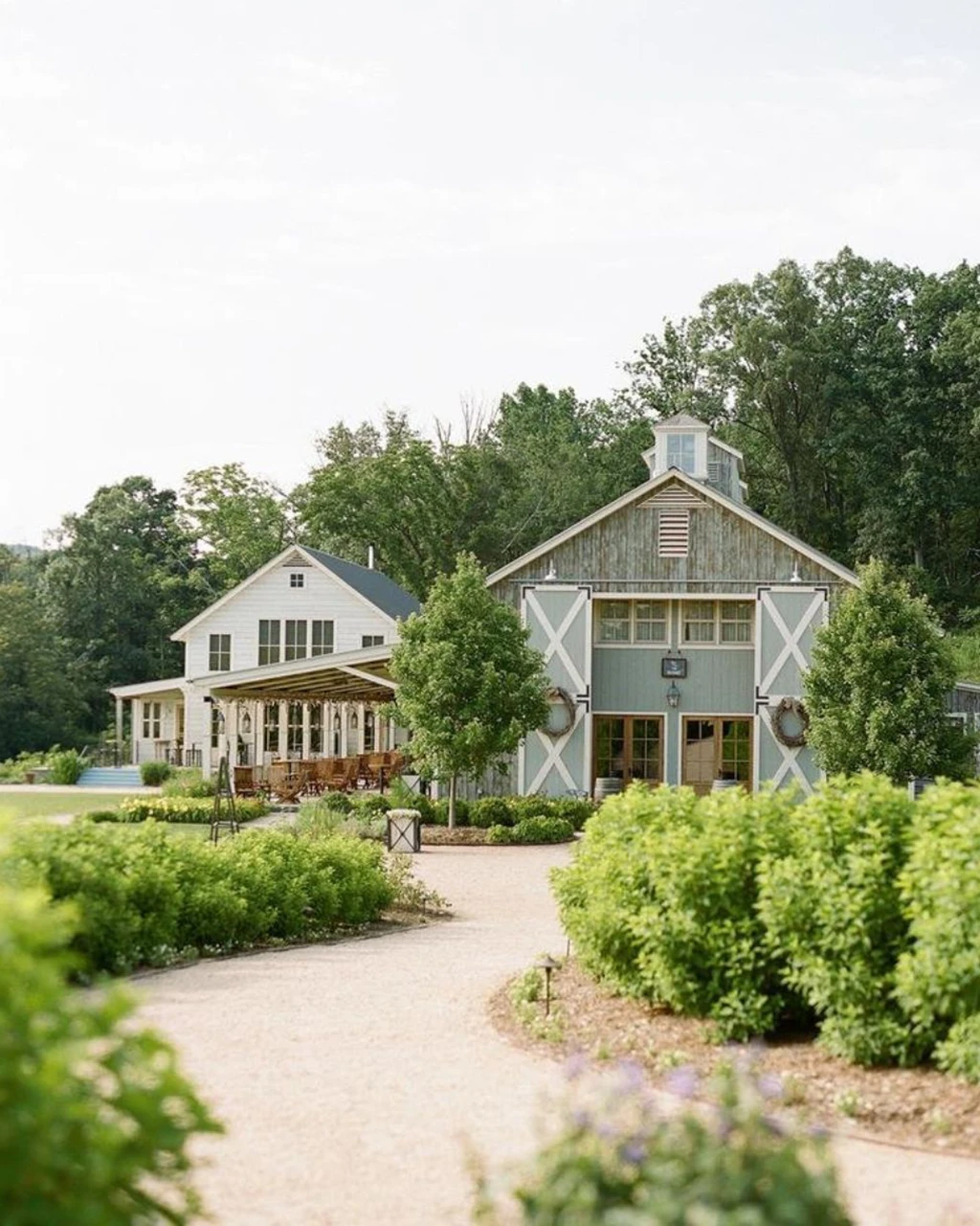 Pippin Hill Farm Group Editorial